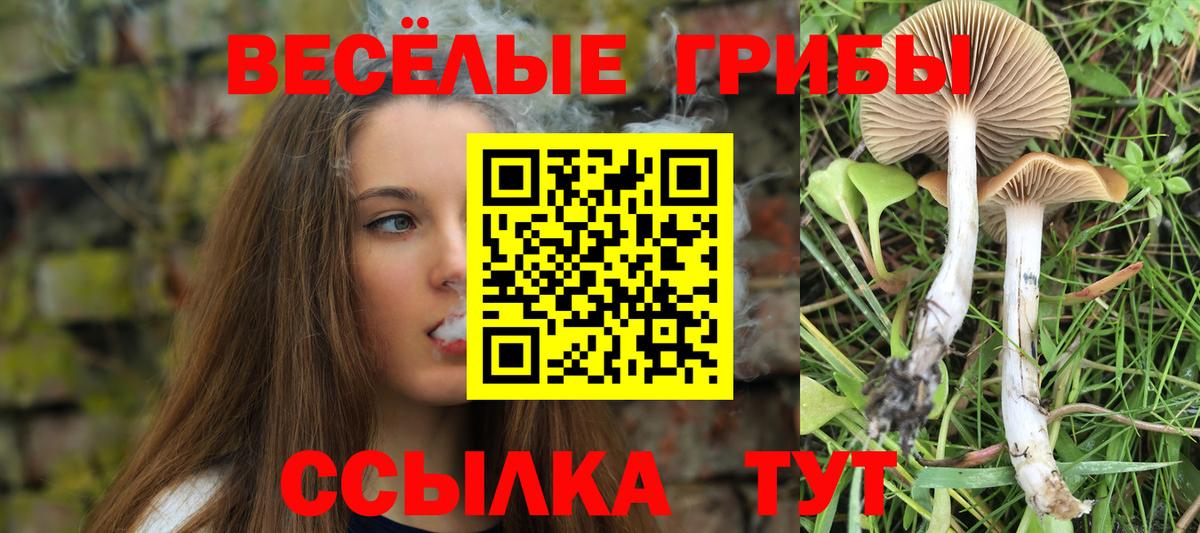 Апшеронск  Галлюциногенные грибы ЛСД  Галлюциногенные грибы Magic Shrooms  Вход с VPN 