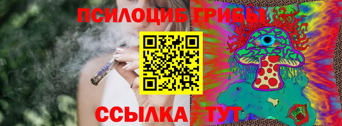 Псилоцибиновые грибы GOLDEN TEACHER Апшеронск